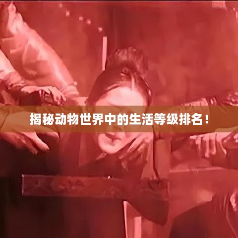 揭秘動(dòng)物世界中的生活等級排名！