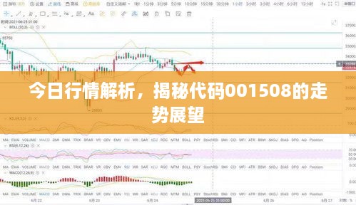 今日行情解析，揭秘代碼001508的走勢(shì)展望