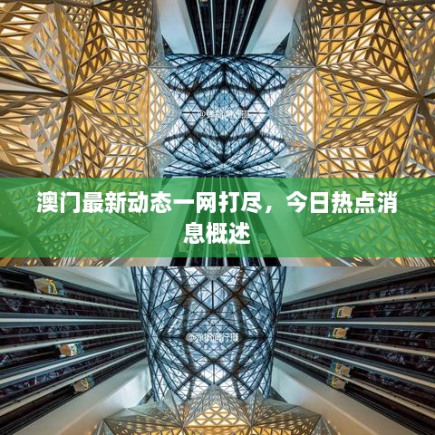 澳門(mén)最新動(dòng)態(tài)一網(wǎng)打盡，今日熱點(diǎn)消息概述