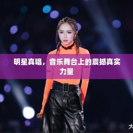 明星真唱，音樂(lè)舞臺(tái)上的震撼真實(shí)力量