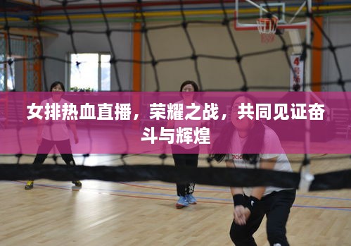 女排熱血直播，榮耀之戰(zhàn)，共同見(jiàn)證奮斗與輝煌