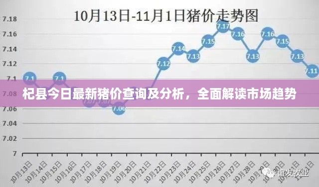 杞縣今日最新豬價(jià)查詢及分析，全面解讀市場(chǎng)趨勢(shì)