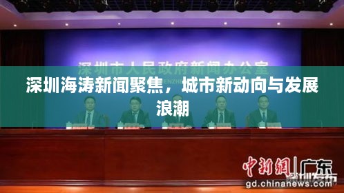 深圳海濤新聞聚焦，城市新動向與發(fā)展浪潮