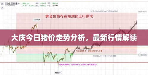 大慶今日豬價走勢分析，最新行情解讀