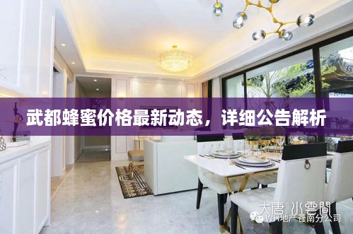 武都蜂蜜價(jià)格最新動(dòng)態(tài)，詳細(xì)公告解析