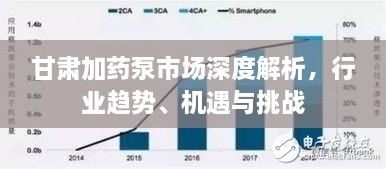 甘肅加藥泵市場深度解析，行業(yè)趨勢、機遇與挑戰(zhàn)