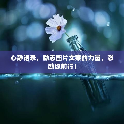 心靜語錄，勵志圖片文案的力量，激勵你前行！
