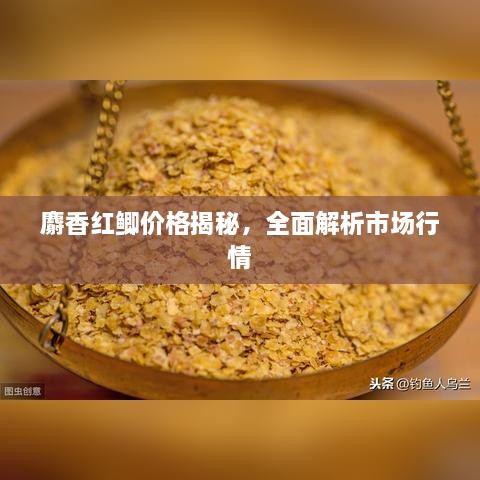 麝香紅鯽價(jià)格揭秘，全面解析市場(chǎng)行情
