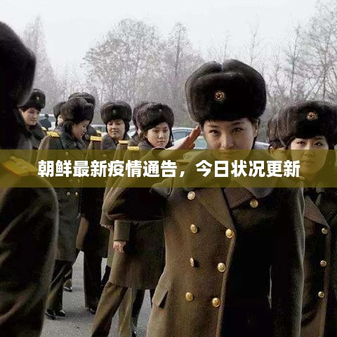 朝鮮最新疫情通告，今日狀況更新