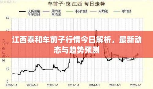 江西泰和車(chē)前子行情今日解析，最新動(dòng)態(tài)與趨勢(shì)預(yù)測(cè)