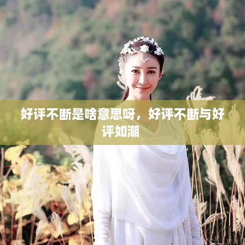 好評不斷是啥意思呀，好評不斷與好評如潮 