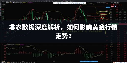 非農(nóng)數(shù)據(jù)深度解析，如何影響黃金行情走勢(shì)？