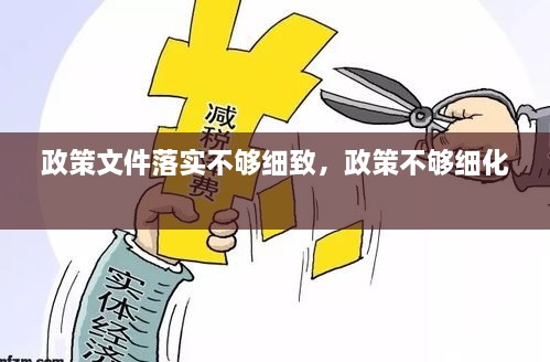 政策文件落實(shí)不夠細(xì)致，政策不夠細(xì)化 