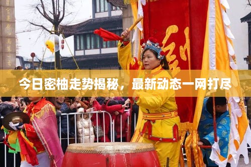 今日密柚走勢揭秘，最新動(dòng)態(tài)一網(wǎng)打盡