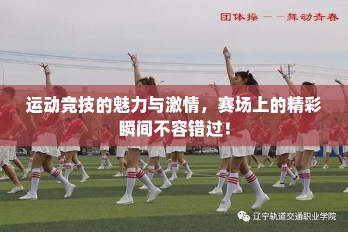 運(yùn)動(dòng)競(jìng)技的魅力與激情，賽場(chǎng)上的精彩瞬間不容錯(cuò)過(guò)！