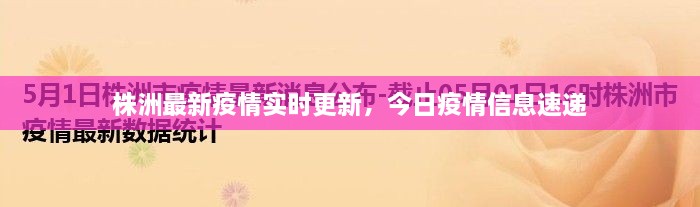 株洲最新疫情實時更新，今日疫情信息速遞