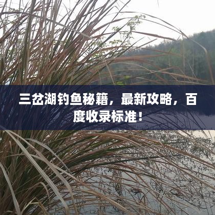 三岔湖釣魚秘籍，最新攻略，百度收錄標準！