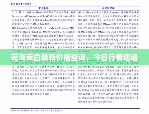 蕪湖茭白最新價格查詢，今日行情速遞