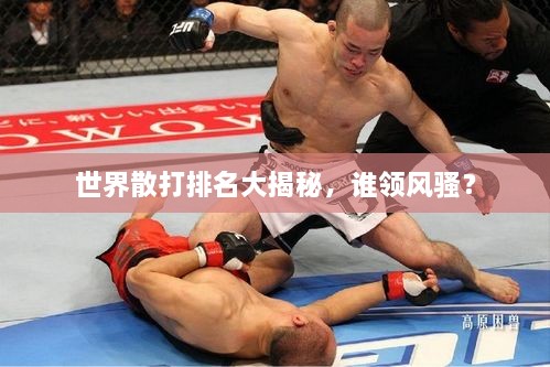 世界散打排名大揭秘，誰領(lǐng)風騷？