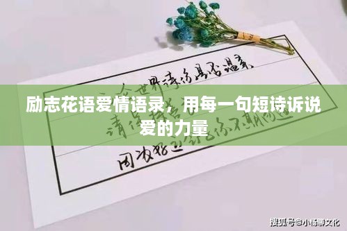 勵志花語愛情語錄，用每一句短詩訴說愛的力量