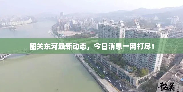 韶關(guān)東河最新動(dòng)態(tài)，今日消息一網(wǎng)打盡！