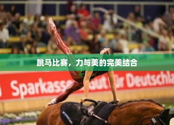 跳馬比賽，力與美的完美結(jié)合