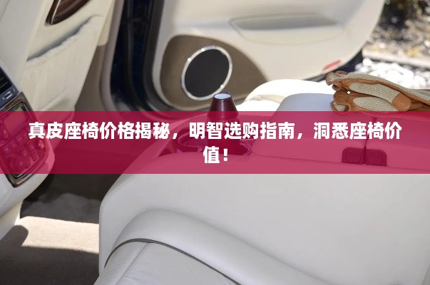 真皮座椅價格揭秘，明智選購指南，洞悉座椅價值！