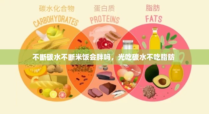 不斷碳水不斷米飯會(huì)胖嗎，光吃碳水不吃脂肪 