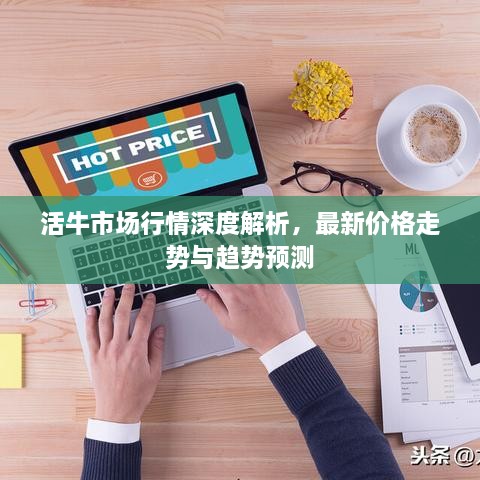 活牛市場行情深度解析，最新價格走勢與趨勢預(yù)測