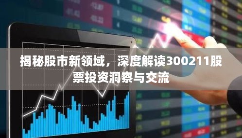 揭秘股市新領域，深度解讀300211股票投資洞察與交流