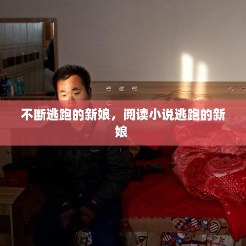 不斷逃跑的新娘，閱讀小說逃跑的新娘 