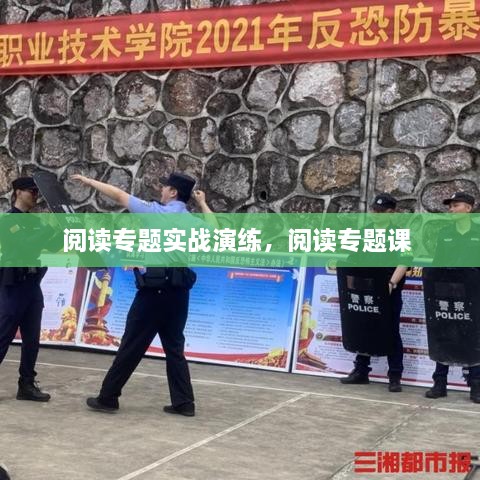 閱讀專題實(shí)戰(zhàn)演練，閱讀專題課 