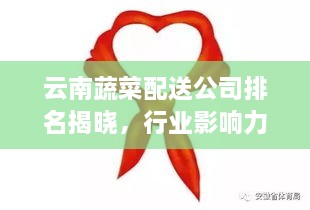云南蔬菜配送公司排名揭曉，行業(yè)影響力大揭秘！