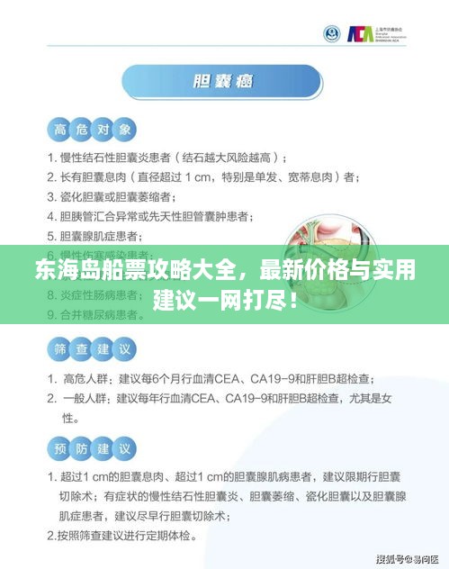 東海島船票攻略大全，最新價格與實(shí)用建議一網(wǎng)打盡！