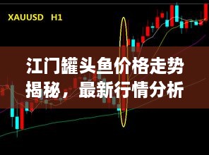 江門罐頭魚價(jià)格走勢(shì)揭秘，最新行情分析