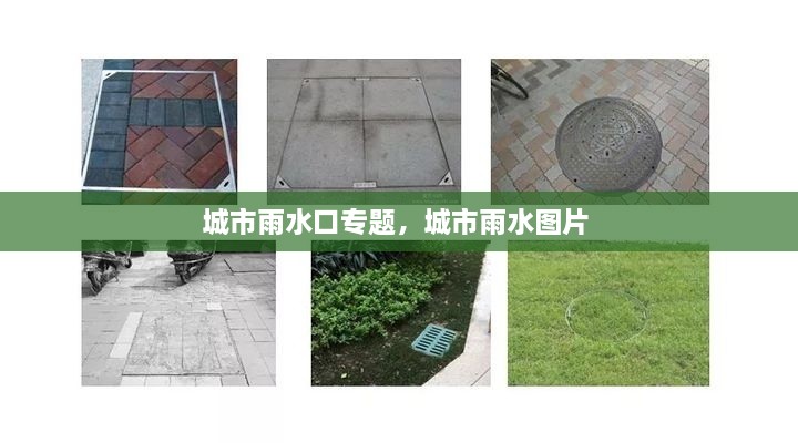 城市雨水口專題，城市雨水圖片 