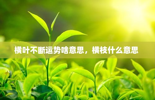 橫葉不斷運(yùn)勢(shì)啥意思，橫枝什么意思 