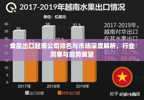 食品出口越南公司排名與市場(chǎng)深度解析，行業(yè)洞察與趨勢(shì)展望
