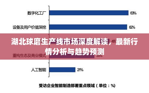 湖北球磨生產(chǎn)線市場深度解讀，最新行情分析與趨勢預測