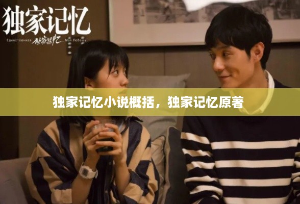 獨家記憶小說概括，獨家記憶原著 