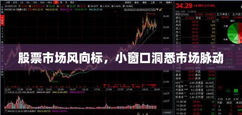 股票市場風(fēng)向標(biāo)，小窗口洞悉市場脈動