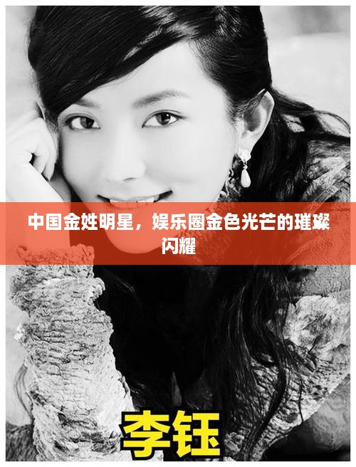 中國(guó)金姓明星，娛樂(lè)圈金色光芒的璀璨閃耀