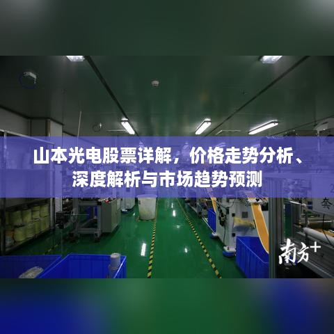 山本光電股票詳解，價格走勢分析、深度解析與市場趨勢預(yù)測
