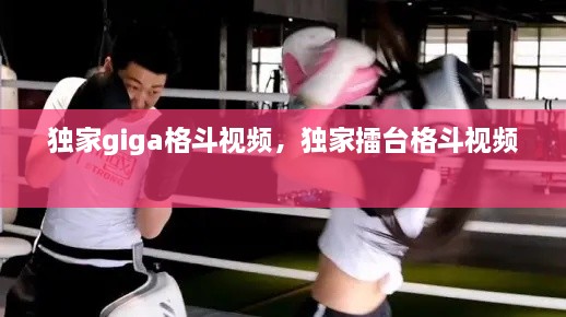 獨(dú)家giga格斗視頻，獨(dú)家擂臺(tái)格斗視頻 