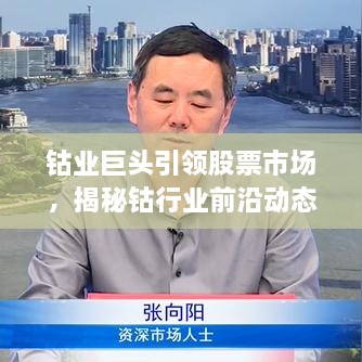 鈷業(yè)巨頭引領(lǐng)股票市場，揭秘鈷行業(yè)前沿動態(tài)與未來趨勢