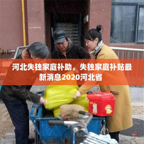 河北失獨家庭補助，失獨家庭補貼最新消息2020河北省 