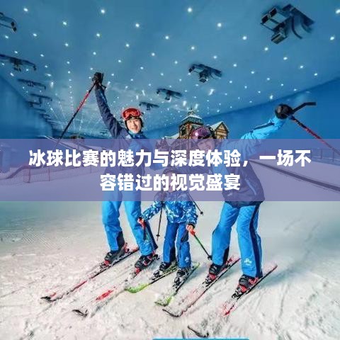 冰球比賽的魅力與深度體驗(yàn)，一場(chǎng)不容錯(cuò)過(guò)的視覺(jué)盛宴