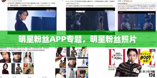 明星粉絲APP專題，明星粉絲照片 