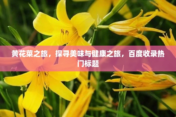 觀往知來