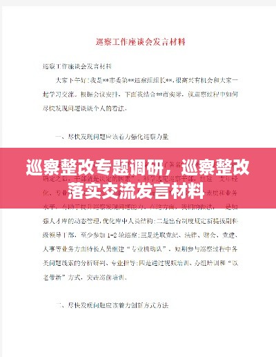 巡察整改專題調研，巡察整改落實交流發(fā)言材料 